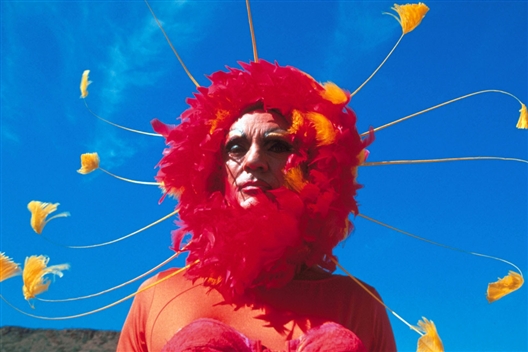 The Adventures of Priscilla, Queen of the Desert (16 LS)